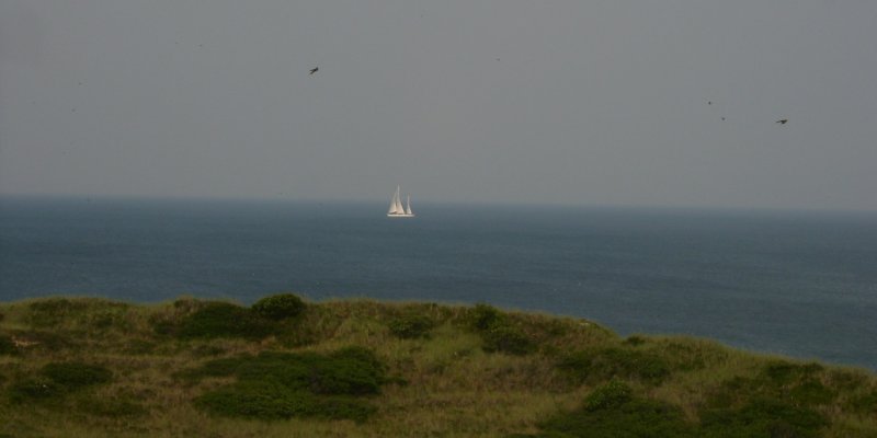 View off Bear Berry Hill